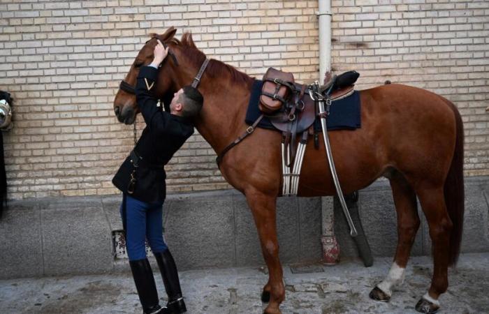 quatre chevaux de la Garde républicaine décorés lundi