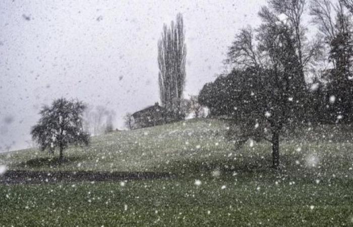 A partir de mardi il y aura de la neige jusqu’à 800 mètres