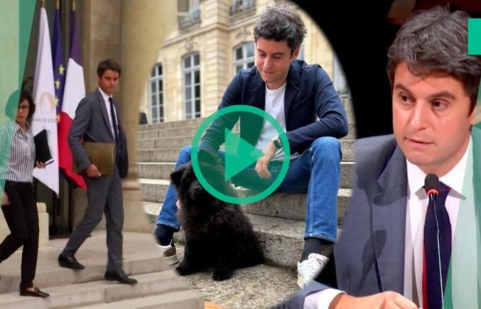 Gabriel Attal n’a pas oublié cette pique attribuée à Rachida Dati sur son chien