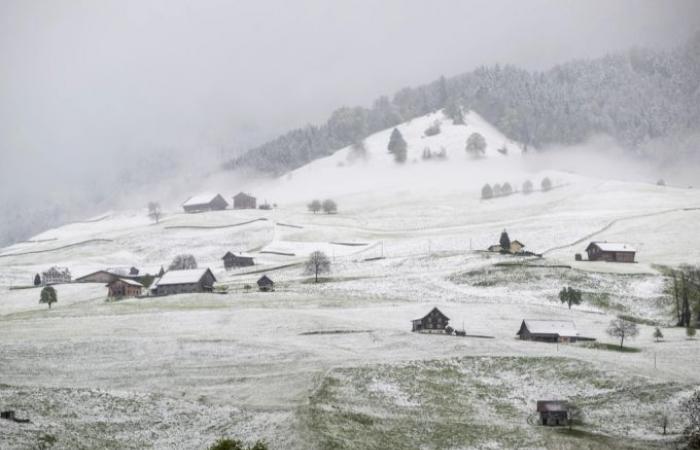 A partir de mardi il y aura de la neige jusqu’à 800 mètres