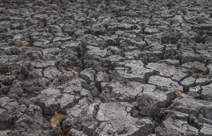 Soutenir les petits agriculteurs, un investissement clé pour l’adaptation au climat