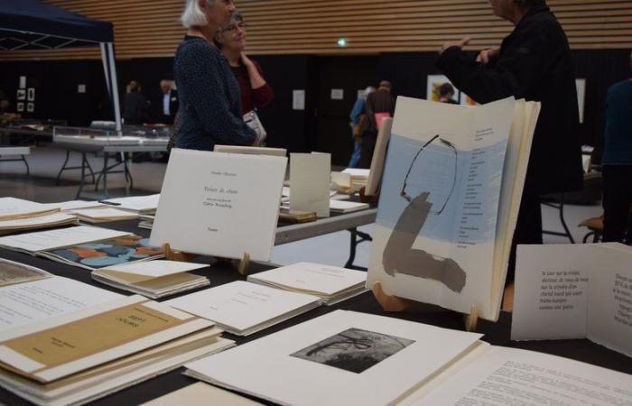 Rodez. Ouverture de la 4ème Biennale du Livre d’Artiste à la salle des fêtes