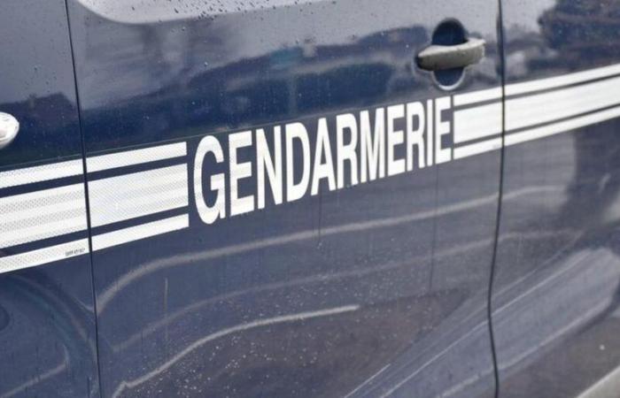 un homme emprisonné après en avoir battu un autre à mort pendant le tournage de la scène, des images « insupportables »