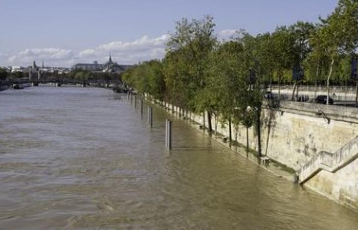 La Mairie de Paris veut préparer les habitants de la capitale au « risque inondation » en leur proposant « une grande opération de sensibilisation »