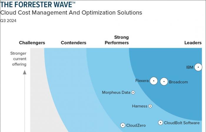 Cloudability d’IBM sort du lot