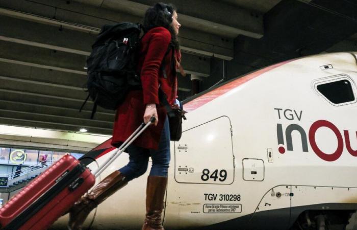 Le TGV Paris-Lyon ne circulera pas pendant 4 jours, des perturbations attendues dans toute la France