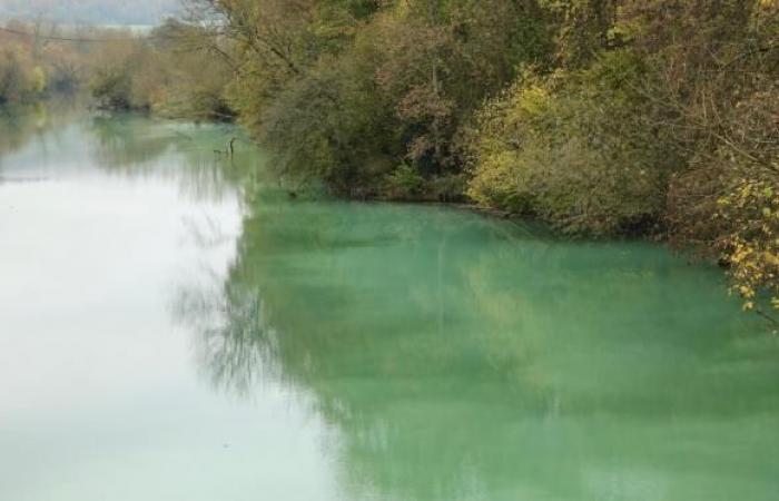 une entreprise rejette accidentellement deux tonnes de latex dans la Meuse