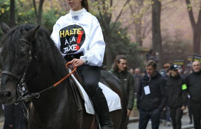 Contre un projet de taxation des paris hippiques, le secteur manifeste à Paris