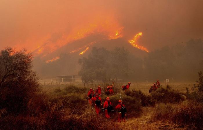 Grand incendie en Californie | Plus d’une centaine de maisons détruites près de Los Angeles