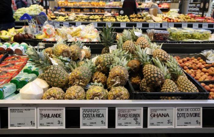 Le Conseil d’État annule un arrêté interdisant les emballages plastiques pour les fruits et légumes frais