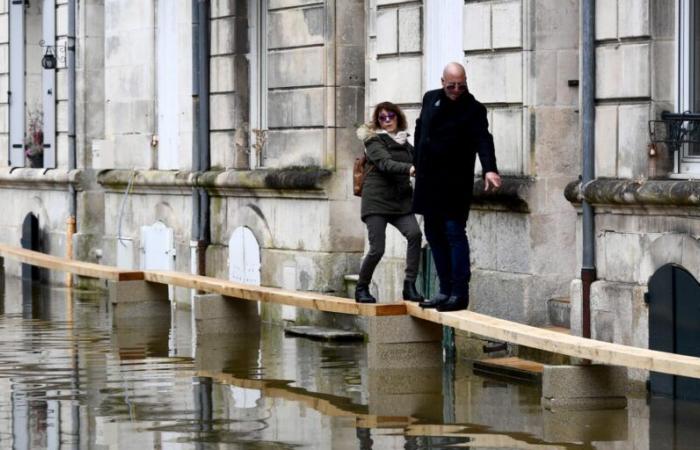 Les Parisiens seront sensibilisés au « risque inondation » en 2025