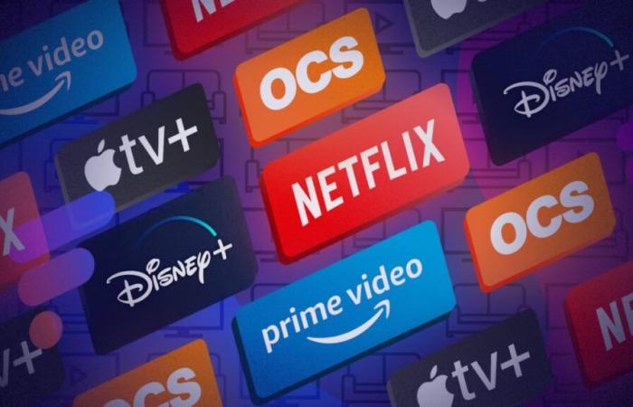 Après Netflix et Disney+, une autre plateforme de SVoD s’attaquera au partage de mots de passe… et augmentera ses tarifs