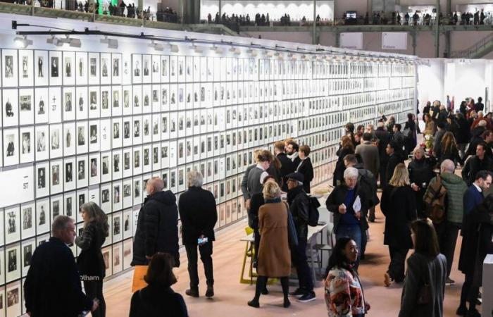 entrez dans le monde de la photographie qui fait son grand retour au Grand Palais