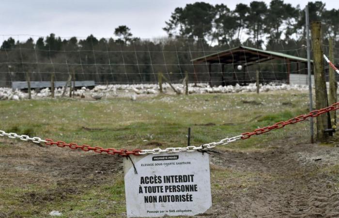 risque relevé de « modéré » à « élevé » en France