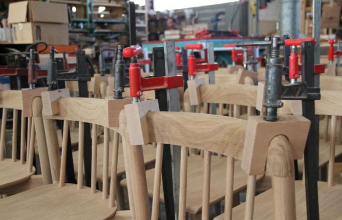 Ces chaises landaises rejoindront Notre-Dame de Paris pour l’éternité