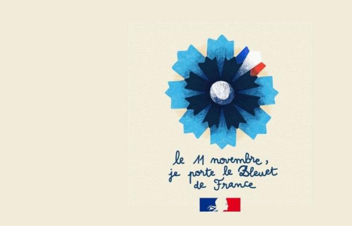 Campagne National Bleuet de France – 11 novembre 2024 – Actualités