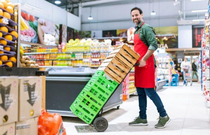 LIDL Sorgues recrute un équipier polyvalent en CDI : rejoignez l’équipe !