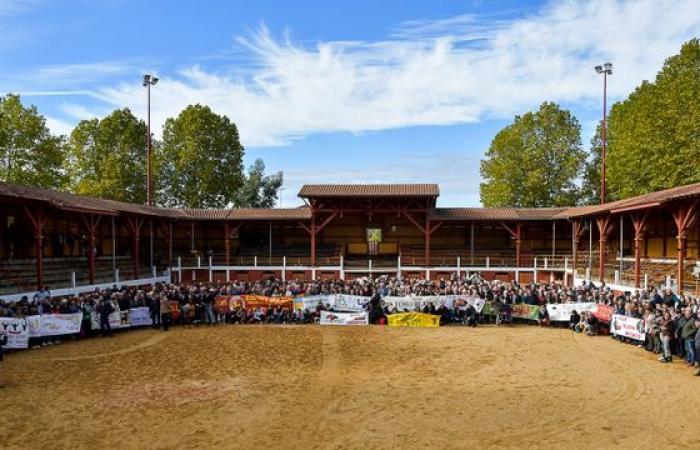 Fiesta campera ce dimanche pour clôturer la saison 2024 |