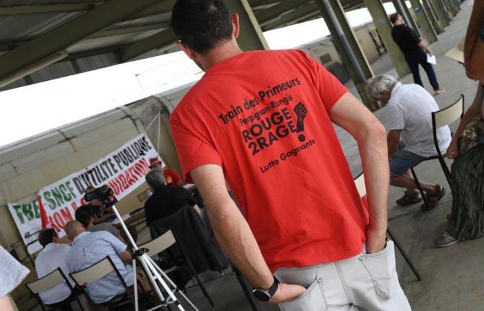 Journée troublée dans les trains ce vendredi en raison d’une grève des cheminots au départ de Perpignan