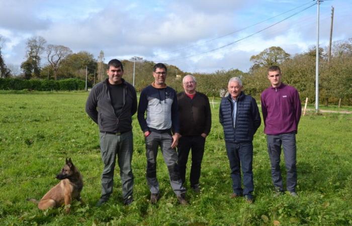 Finistère. Une bande dessinée, une ferme ouverte et des jeunes motivés en pays Bigouden