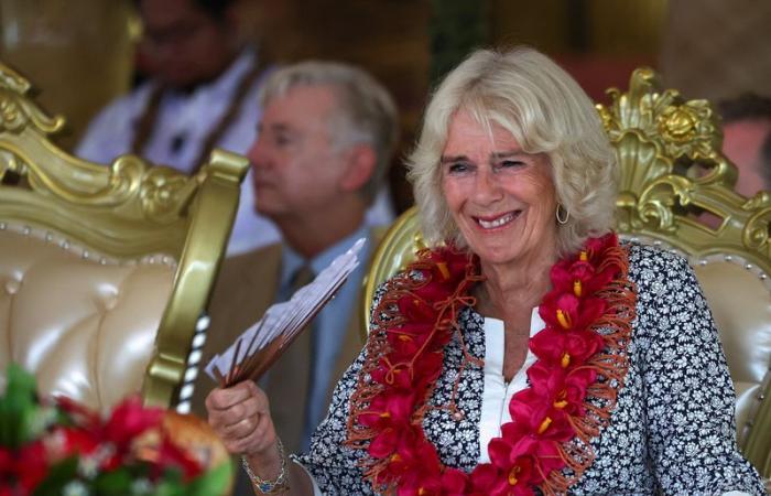 La reine Camilla, en souffrance, manquera les cérémonies du jour du Souvenir