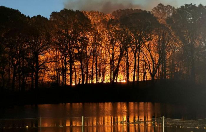 Un feu de broussailles éclate dans un parc de New York