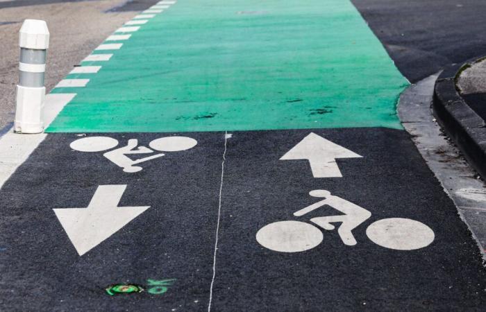 Cet habitant est obligé de nettoyer lui-même la piste cyclable devant sa maison