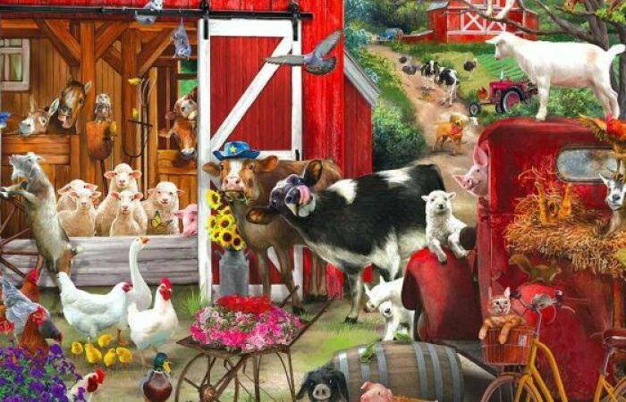 “Ferme en Fête”, a lively Saturday – Le Petit Journal