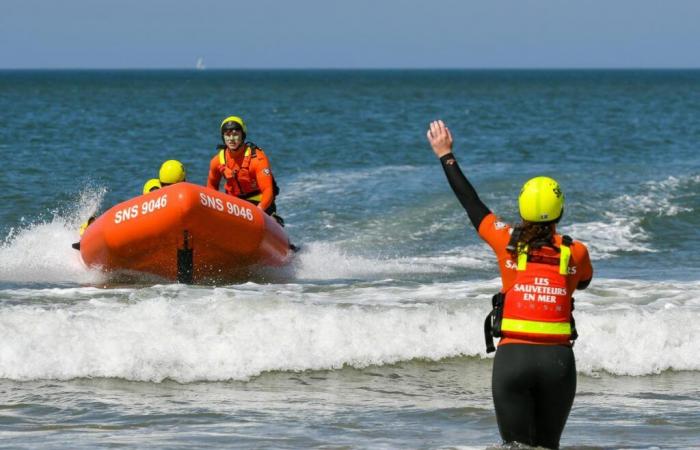 les sauveteurs en mer intéressés à surveiller de plus en plus de plages