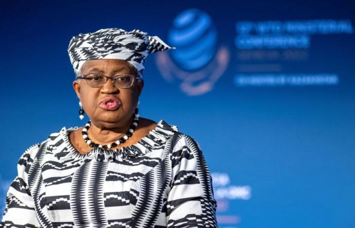 Le Nigérian Okonjo-Iweala seul candidat à la succession