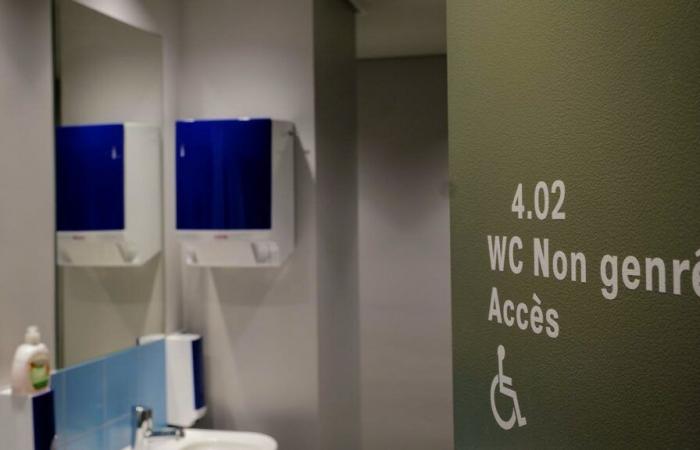 Toilettes non mixtes dans les bistrots vaudois : la réforme échoue