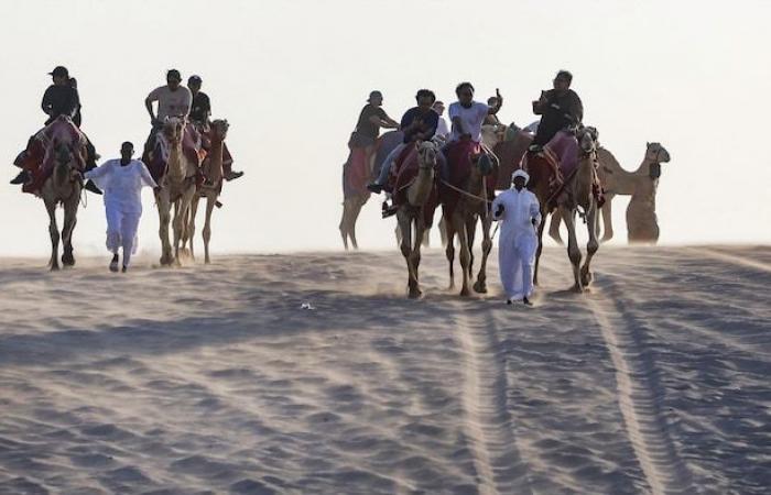 quand la photo de presse réconforte