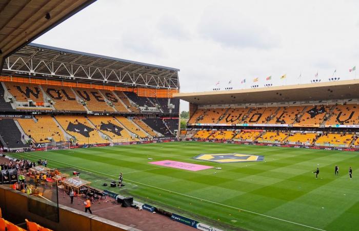 Wolverhampton vs Southampton Mises à jour des scores en direct (1-0)