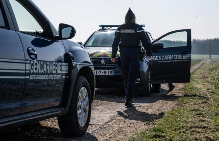 Armé d’une hache, il menace d’incendier sa maison en Charente-Maritime