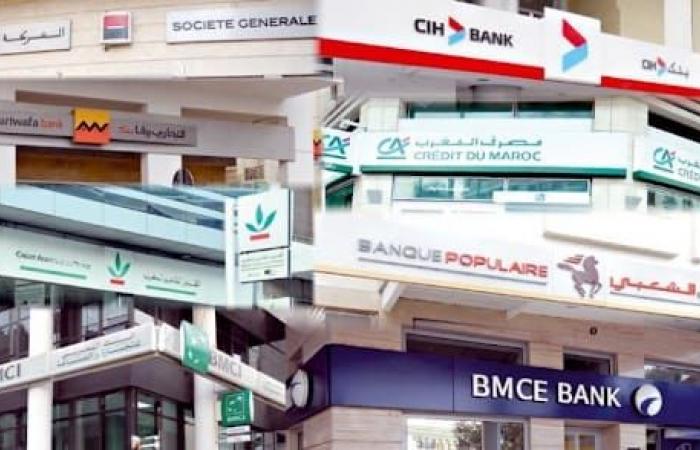 La BEI salue la solidité du système bancaire marocain