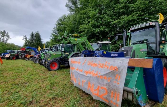 Haute Savoie. Contre le projet A412, deux coopératives laitières du Chablais s’associent