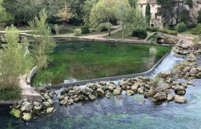 Les écologistes de Provence lancent un « S.EAU.S »