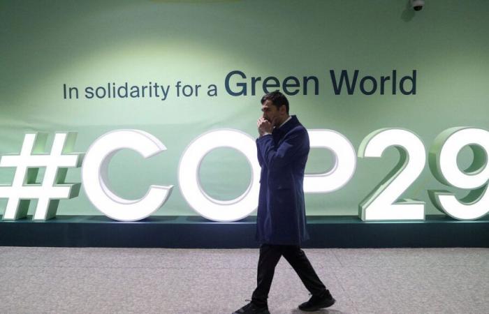 une ONG piège le directeur général de la COP29 en vantant les accords sur les énergies fossiles