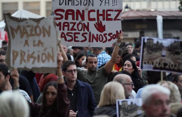 une manifestation organisée à Valence contre l’inertie des autorités