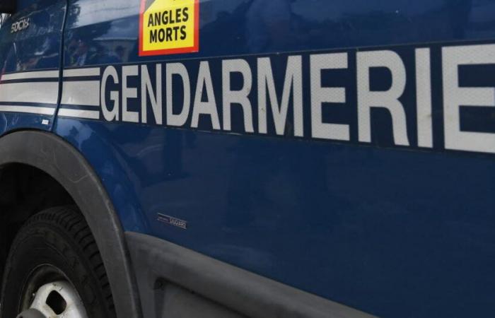 Loiret. Un homme blessé par arme blanche retrouvé mort et son fils blessé