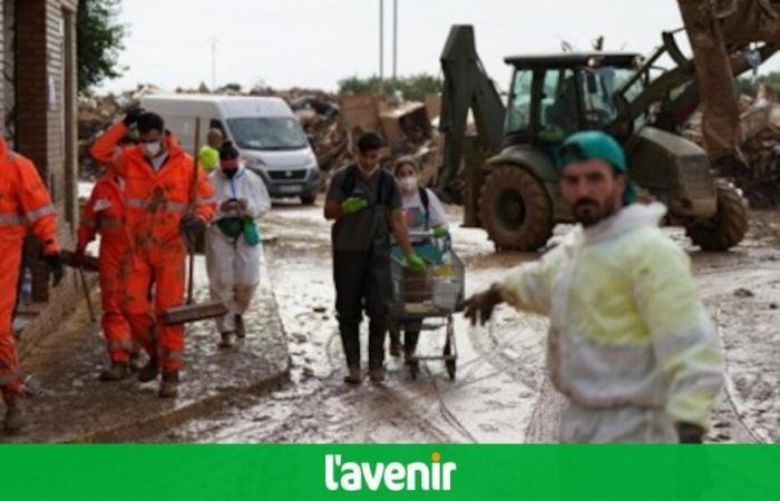 Prolifération de moustiques, viande pourrie… En Espagne, les inondations apportent des odeurs nauséabondes et des soucis sanitaires