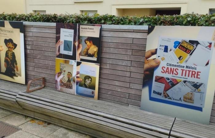 Saint-Sébastien-sur-Loire. One hundred diverted book titles to discover Allée d’Anjou