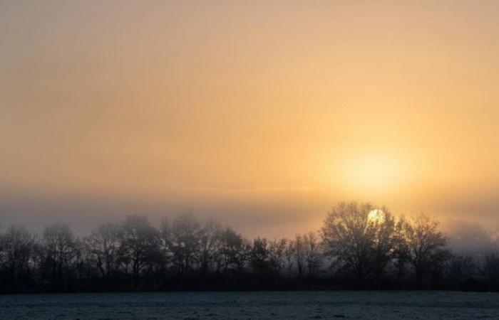 Première vague de froid « notable » la semaine prochaine dans le nord avec des températures proches de 0°C