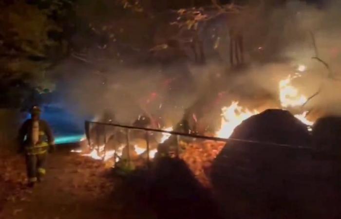 Un feu de broussailles enflamme un parc new-yorkais