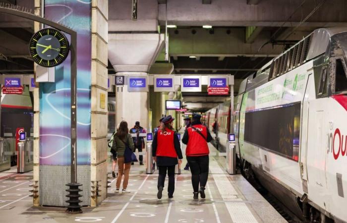 La SNCF libérée suite à la mort de Neko, un chat écrasé par le train