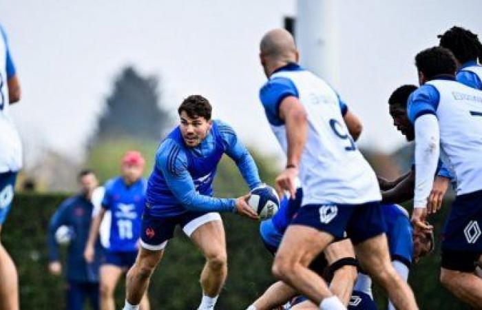 XV de France : les regards vers 2027