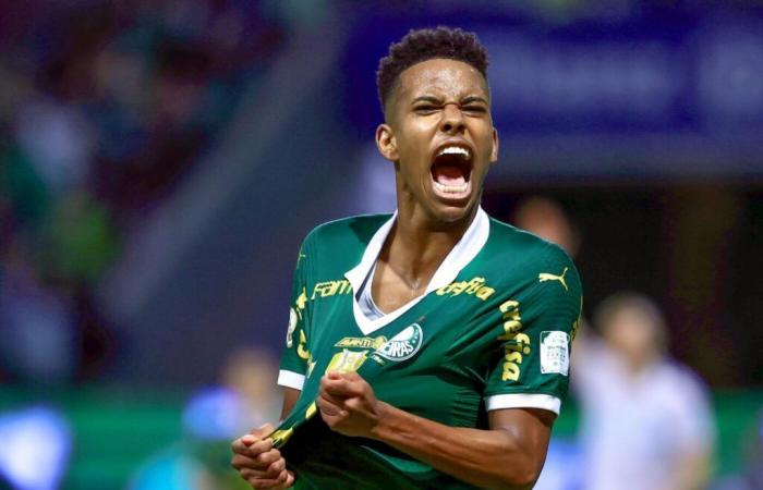 Estevão continue de travailler avec les ordinateurs au Brésil – Brasileirão – J33 – Palmeiras-Grêmio