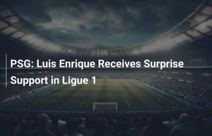 Luis Enrique reçoit un soutien surprise en Ligue 1