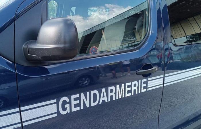 la gendarmerie lance un appel à témoins après la disparition inquiétante d’un homme de 59 ans