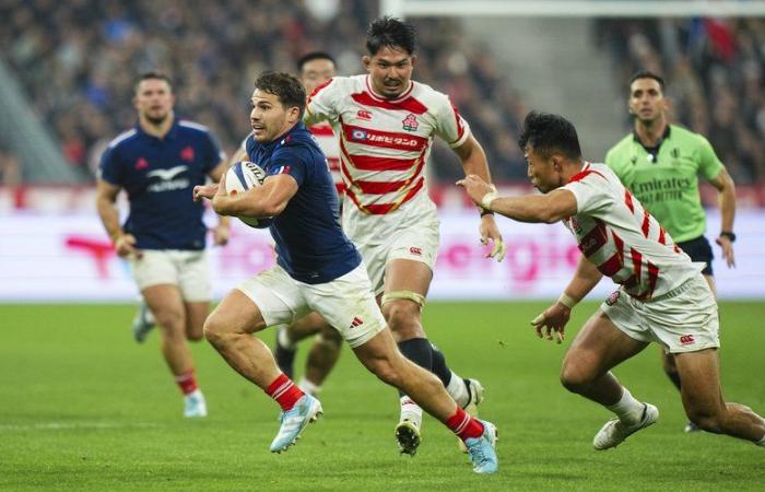 XV de France – Les Bleus surpassent le Japon et démarrent parfaitement leur tournée de novembre